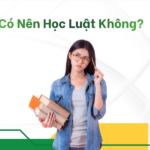 có nên học luật không