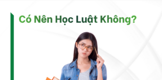 có nên học luật không