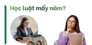 học luật mấy năm