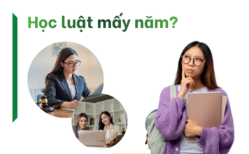 học luật mấy năm