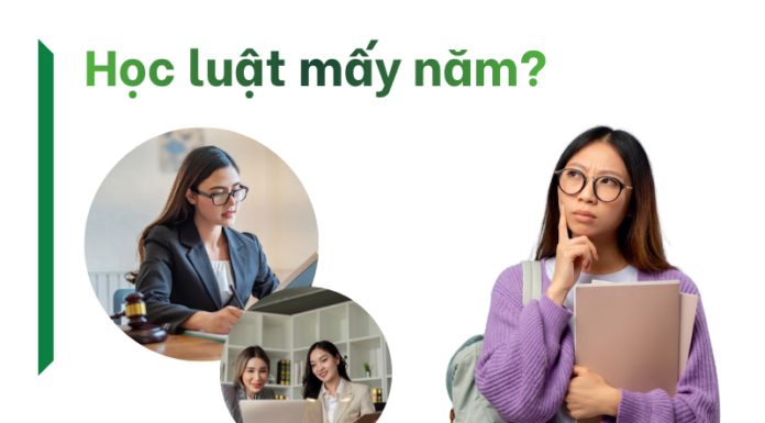học luật mấy năm