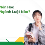 Nên Học Ngành Luật Nào?