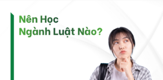 Nên Học Ngành Luật Nào?