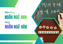 Nên học ngôn ngữ anh hay ngôn ngữ hàn