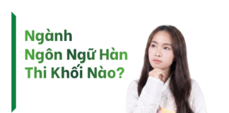 Ngành Ngôn ngữ Hàn thi khối nào?