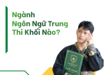 Ngôn ngữ Trung xét khối nào? ngành ngôn ngữ trung thi khối nào