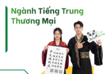 Ngành Tiếng Trung Thương Mại – Học Gì, Ra Làm Gì Và Cơ Hội Nghề Nghiệp Ngành tiếng Trung thương mại