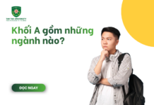 Khối A gồm những ngành nào?