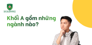 Khối A gồm những ngành nào?