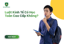 Luật kinh tế có học toán cao cấp không?