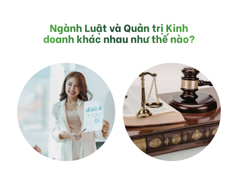 Nên Học Luật Hay Quản Trị Kinh Doanh? 1 Ngành Luật và Quản trị Kinh doanh khác nhau như thế nào?