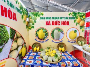 DƯA LƯỚI TTU – RẠNG RỠ NÔNG SẢN TIÊU BIỂU XÃ ĐỨC HÒA TẠI LỄ HỘI NÔNG SẢN & SẢN PHẨM OCOP TÂY NINH LẦN THỨ I (2026) 1 821486863 1603493501551202 3713511643401315024 n