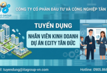 Công ty Cổ Phần Đầu Tư và Công Nghiệp Tân Tạo tuyển dụng Nhân viên kinh doanh Dự án Ecity Tân Đức